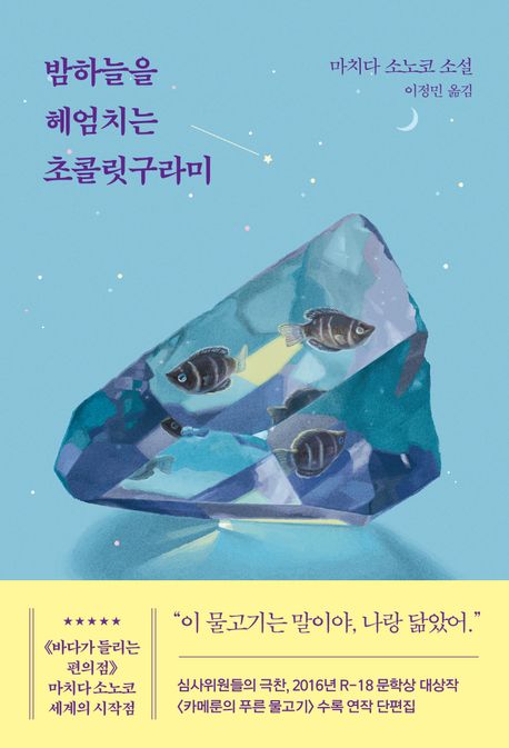 밤하늘을헤엄치는초콜릿구라미