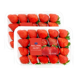 사계절 즐기는 상큼달콤 여름 고슬 딸기 240g 3팩