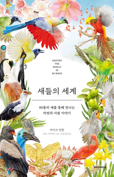 새들의세계