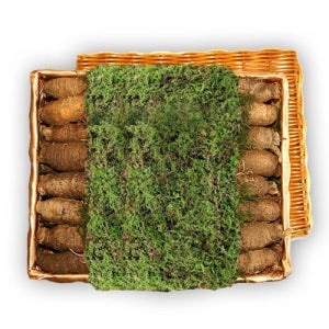 횡성더덕선물세트(상2kg)