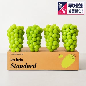 [농할 25%쿠폰] 연간 50만 송이 판매, 국내산 고당도 수출용 상주 샤인머스켓 (17brix)