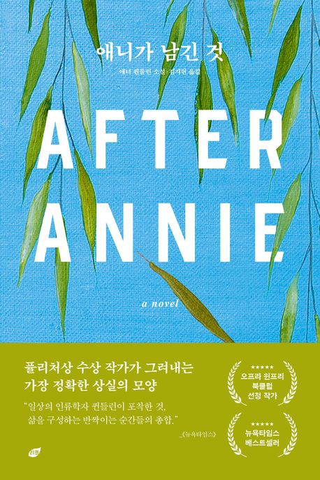 애니가 남긴 것: 애너 퀸들런 소설