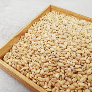 26년 수확된 영양만점 국내산 늘보리 1kg+1kg