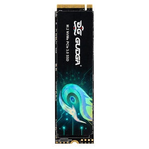 GUDGA GVR M.2 NVMe  (256GB)