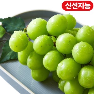 비파괴 당도선별 하우스 샤인머스캣 (1송이/팩)