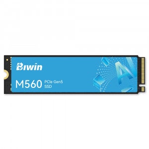BIWIN M560 M.2 NVMe  (1TB)