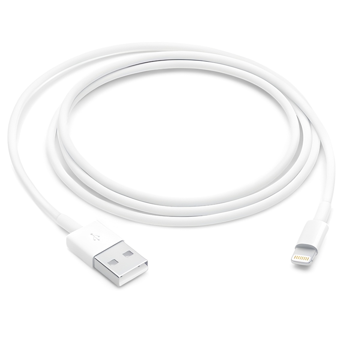 Apple 정품 Lightning-USB 충전 케이블 가성비 분석 및 추천 가이드