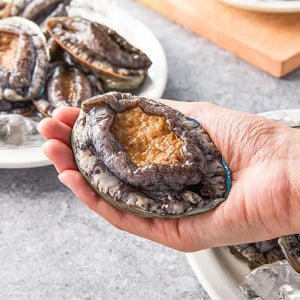 신선특허 기삼전복 3-5미 1kg 산지직송 선물세트 수산물이력제