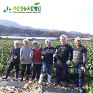 정품 괴산절임배추 예약중 20kg 3천원할인