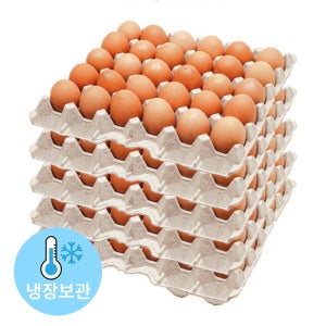 왕란 30알 (1판,계란,달걀)