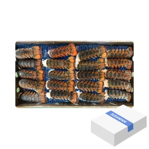 랍스터테일 4온즈(4.54kg) 약39미 바닷가재꼬리 박스상품