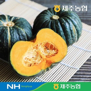 2026년 햇! 제주햇살바람 단호박 8kg