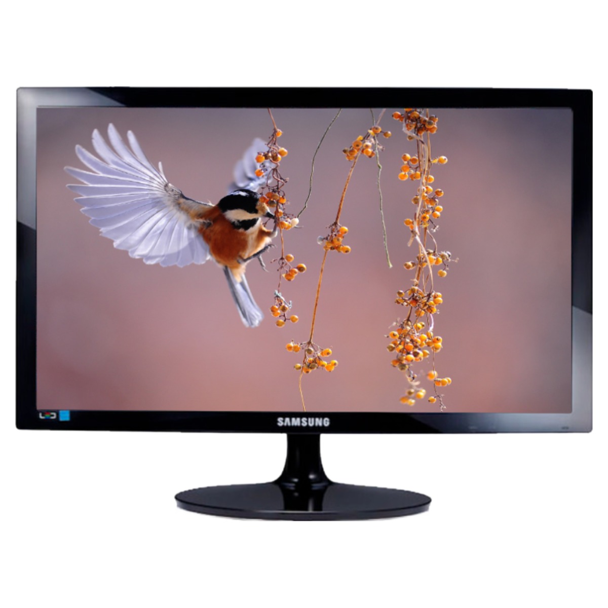 삼성전자 59.8 cm Full-HD LED 모니터  S24D300 솔직 후기 및 장단점 분석 - 구매 가이드