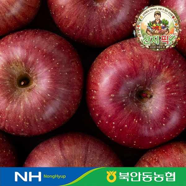 산지직송 북안동농협 고당도 부사 안동 꿀 사과 특품 선물용  1개  농협 부사 특품 2kg 중소과(9-11과)