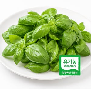 유기농 생 바질 100g 신선한 페스토용 샐러드용 파스타용 프리미엄 허브 Dd