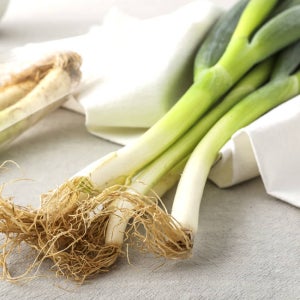 국내산 제철 선별 신선 뿌리 흙대파 대파 특품[대파 2kg 4kg]