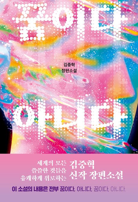 꿈이다 아니다 : 김중혁 장편소설