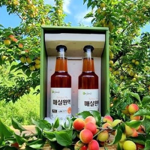 매화골농원 수제 매실청 매실액기스 500ml2