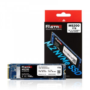 FASTRO MS200 M.2 NVMe (1TB)