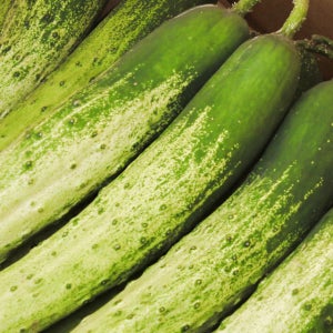 써니네농장 백다다기 백오이 특상품 2kg (국내산)