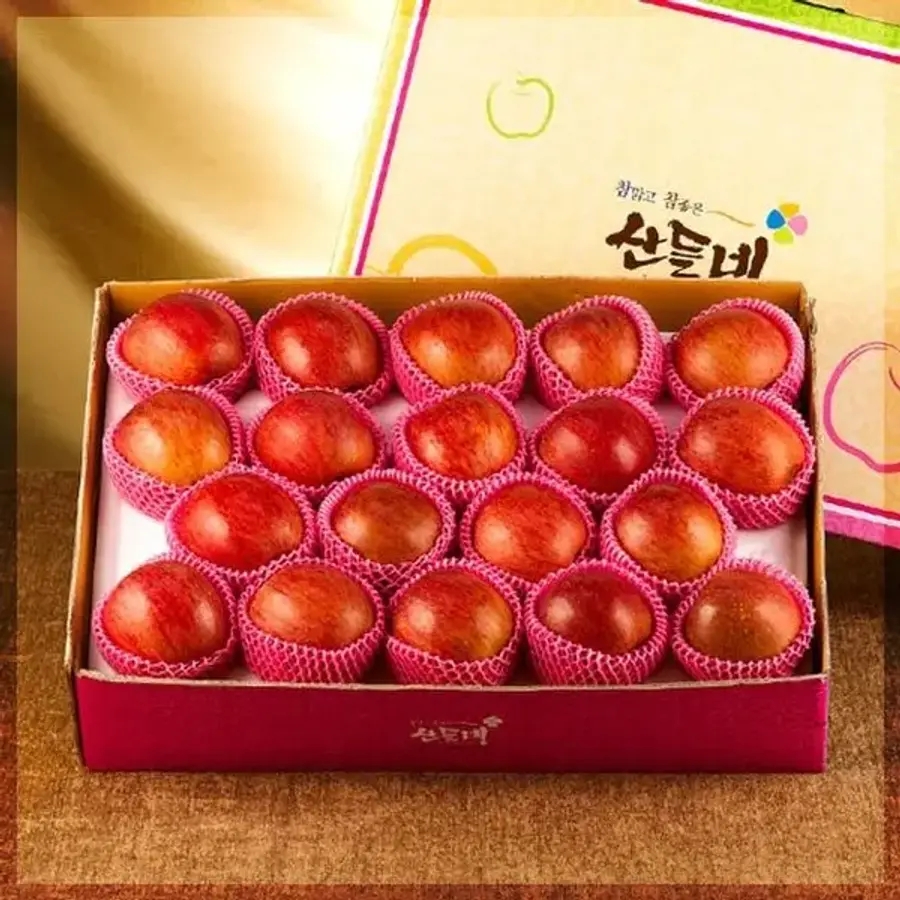 [인정식탁][산들네] 달고 맛있는 경북 꿀맛사과 5kg 18-19과내외