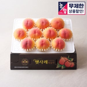[농할 25%쿠폰] 고당도, 국내산 햇사레 말랑이 복숭아 3kg (특품/대과)