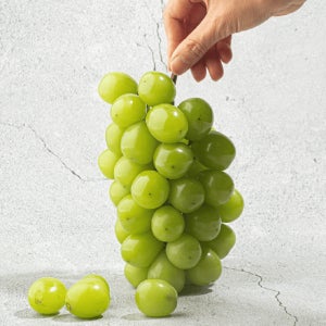 [산해직송] 샤인머스켓 포도 씨없는 망고 청포도