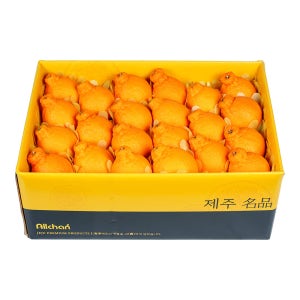 제주 한라봉(중) 10kg(38~47과)[]