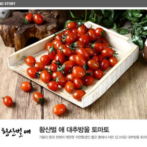 (농할)국내산 대추방울토마토 5kg 4번 소과(황산벌애)[]