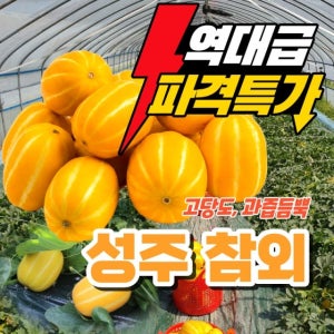 초특가 성주참외 (혼합과)10kg,무료배송