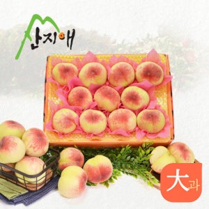 산지애 아삭아삭 햇복숭아 3kg TV상품