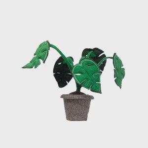 [루밍] [KIDSDEPOT] Monstera