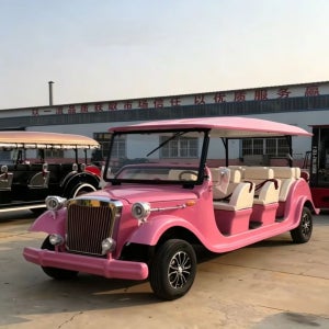 럭셔리하고 편안한 4륜구동 5인승, 8인승, 11인승 48V/72V 4000W/5000W/7000W 전기 클래식카
