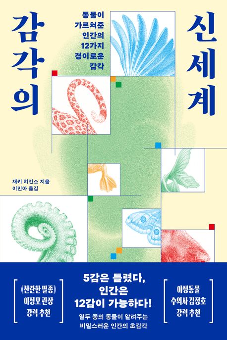 감각의신세계