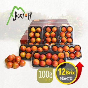 산지애 포모사 자두 6kg (3kg*2박스) TV상품