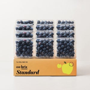 [새벽에On] 항공직송 캐나다산 생 블루베리 500g / 1kg / 1.5kg (로열과/특대과)