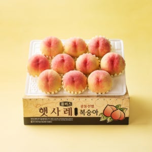 [새벽에On] 프리미엄 고당도 햇사레 딱딱이 복숭아 3kg (8-11입)