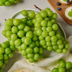 달콤한 망고포도 샤인머스켓 특품 1.2kg(2수)