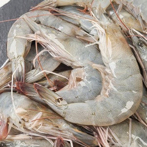 전남 신안 해역에서 자란 담백한 흰다리새우 1kg(35미 내외)