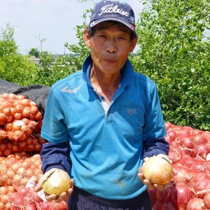 (농할) 국내산 양파_10kg(상)[재배농가 산지직송]