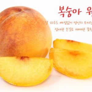 이재권명인 저탄소,GAP 달콤 말랑한 장호원복숭아 황도, 풍원팜-지인심