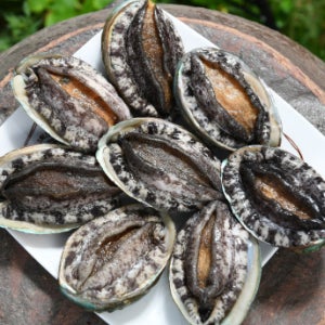 완도 활전복 1kg
