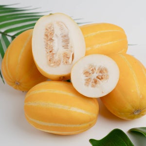 해란팜 성주참외 선물용 10KG (29-38과)[]