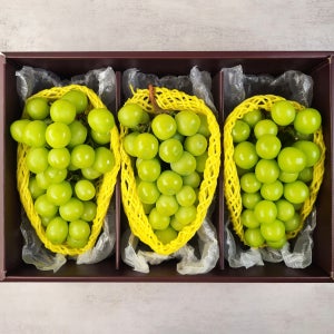 샤인머스캣 선물세트 2kg