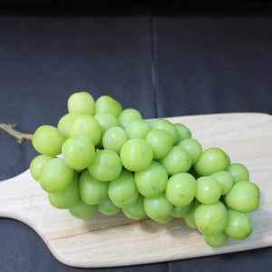농장직송 샤인머스켓 2kg,4kg, 해온담농장