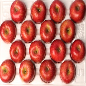 청송 얼음골 꿀사과 홍로 정품4.5kg[정품 4.5kg(18-20과)]