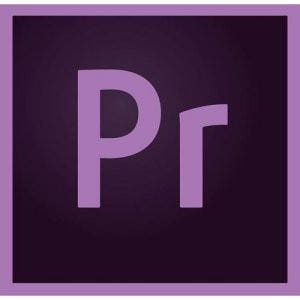Adobe Premiere Pro CC 기업용 (1년 라이선스)