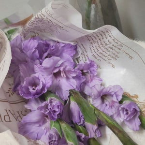 💜특가💜라벤더 글라디올라스💜 계절꽃, 🌸큐리플라워🌸