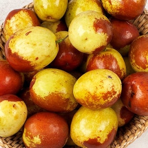 26년 햇 추황 사과대추 500g 1팩