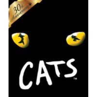 [광주] 뮤지컬 캣츠 : Musical CATS